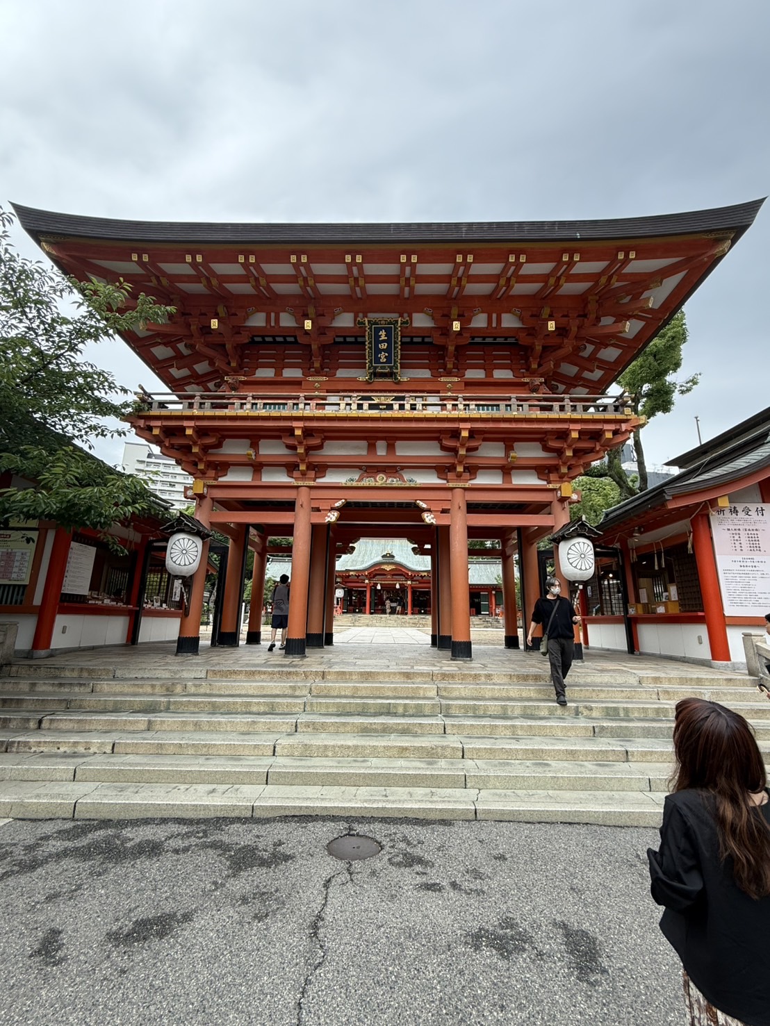 朝活！パワースポット巡り ～開運・浄化の聖地を訪ねて～の画像